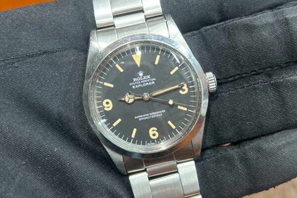 雰囲気の良い個体が入荷いたしました！